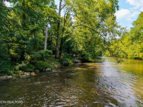 Tiny photo for 8229 E Lamar Alexander Parkway Pkwy, Townsend, TN 37882 (MLS # 1346643)