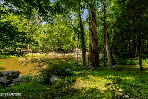 Tiny photo for 8229 E Lamar Alexander Parkway Pkwy, Townsend, TN 37882 (MLS # 1346643)