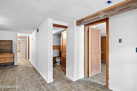 Tiny photo for 8229 E Lamar Alexander Parkway Pkwy, Townsend, TN 37882 (MLS # 1346643)