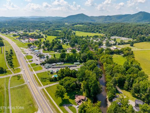Tiny photo for 8229 E Lamar Alexander Parkway Pkwy, Townsend, TN 37882 (MLS # 1346643)