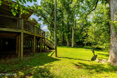 Tiny photo for 8229 E Lamar Alexander Parkway Pkwy, Townsend, TN 37882 (MLS # 1346643)