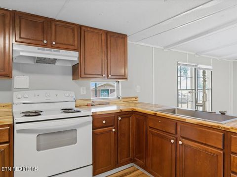 Tiny photo for 124 Morrison Rd, Mooresburg, TN 37811 (MLS # 1316208)