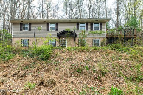 6601 Hilda Lane Knoxville TN 37921