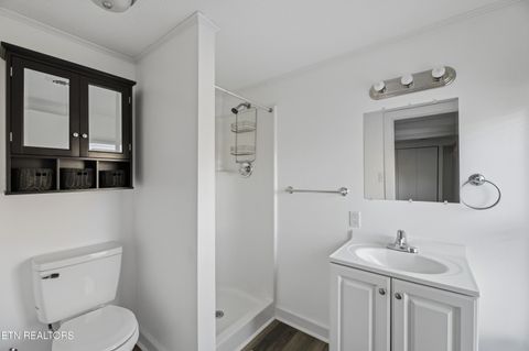 Tiny photo for 129 County Road 71, Riceville, TN 37370 (MLS # 1327710)