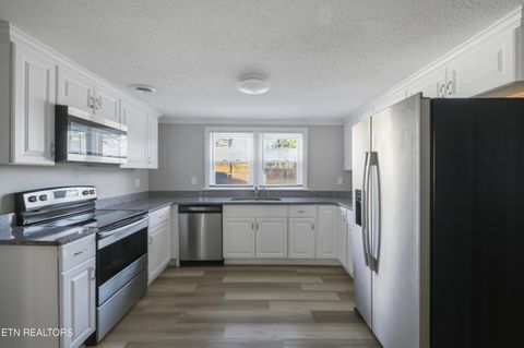 Tiny photo for 129 County Road 71, Riceville, TN 37370 (MLS # 1327710)