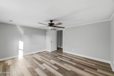 Tiny photo for 129 County Road 71, Riceville, TN 37370 (MLS # 1327710)