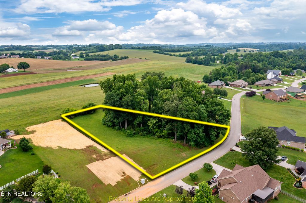 Photo of 1157 Houston Springs Rd, Greenback, TN 37742 (MLS # 1263534)