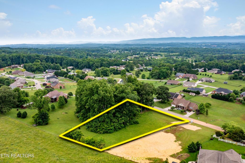 Photo of 1157 Houston Springs Rd, Greenback, TN 37742 (MLS # 1263534)