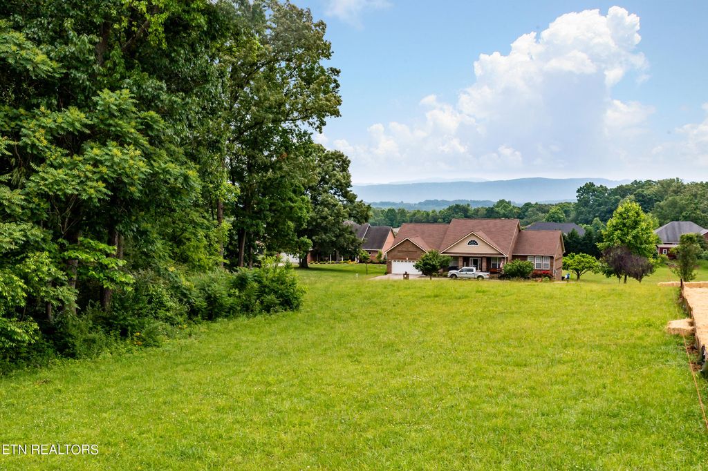 Photo of 1157 Houston Springs Rd, Greenback, TN 37742 (MLS # 1263534)