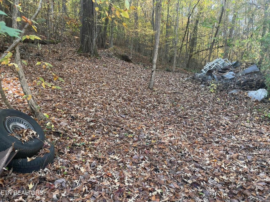 Photo of Creek Rd, Powell, TN 37849 (MLS # 1301015)