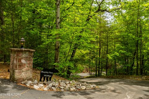 Tiny photo for 229 Cobblestone Way, Townsend, TN 37882 (MLS # 1340137)