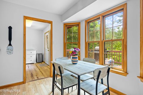 Tiny photo for 229 Cobblestone Way, Townsend, TN 37882 (MLS # 1340137)