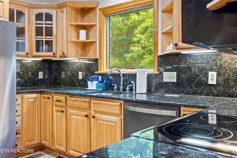 Tiny photo for 229 Cobblestone Way, Townsend, TN 37882 (MLS # 1340137)