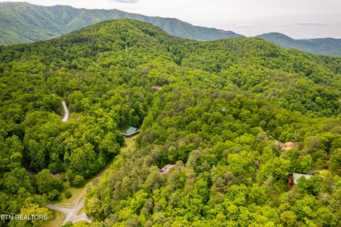 Tiny photo for 229 Cobblestone Way, Townsend, TN 37882 (MLS # 1340137)