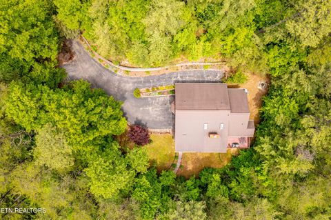 Tiny photo for 229 Cobblestone Way, Townsend, TN 37882 (MLS # 1340137)