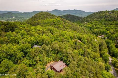 Tiny photo for 229 Cobblestone Way, Townsend, TN 37882 (MLS # 1340137)