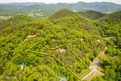 Tiny photo for 229 Cobblestone Way, Townsend, TN 37882 (MLS # 1340137)