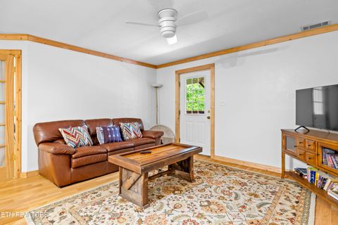Tiny photo for 229 Cobblestone Way, Townsend, TN 37882 (MLS # 1340137)