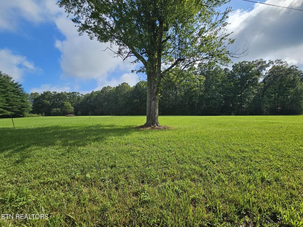 Photo of 542 West End Rd, Rockwood, TN 37854 (MLS # 1308164)