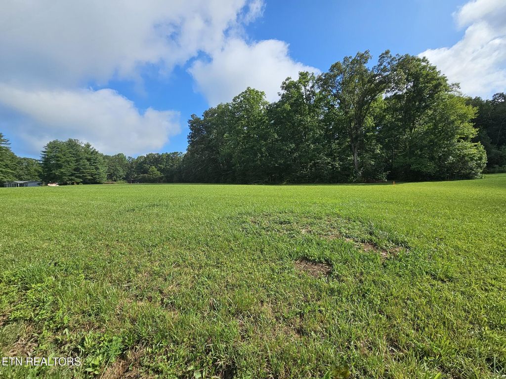 Photo of 542 West End Rd, Rockwood, TN 37854 (MLS # 1308164)