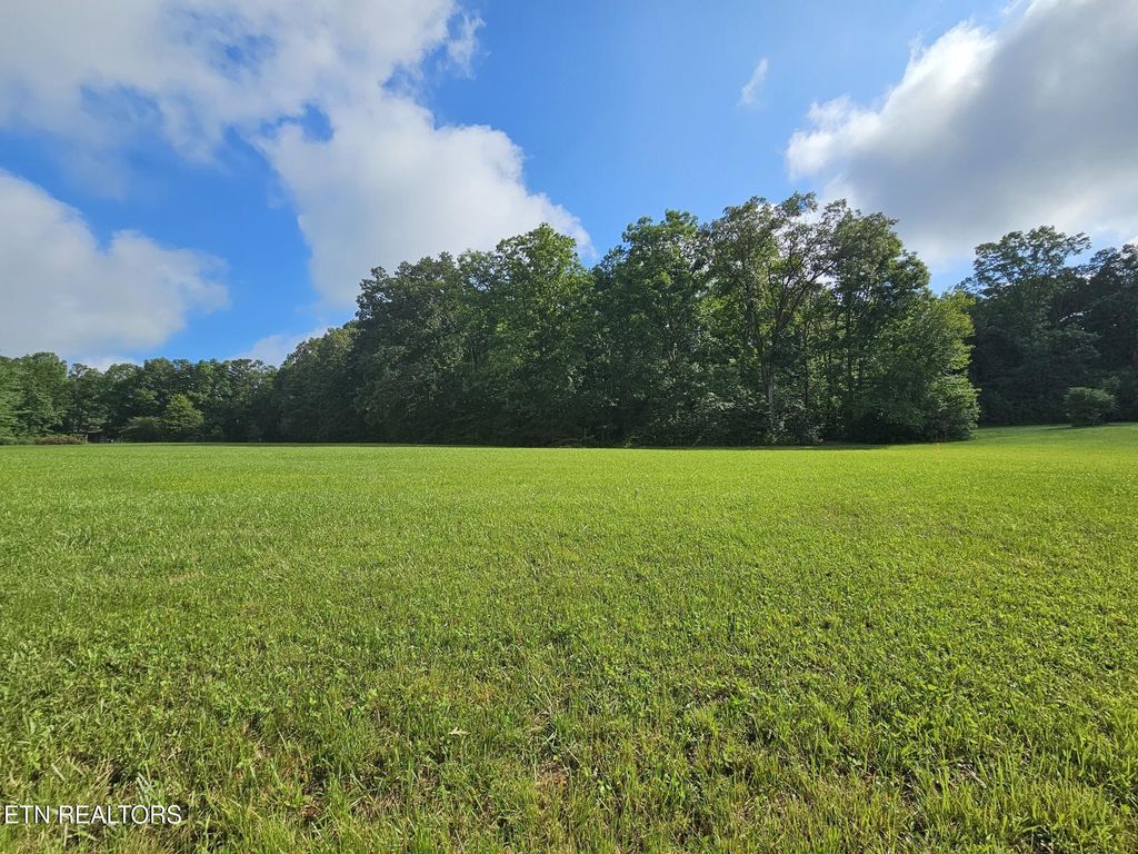 Photo of 542 West End Rd, Rockwood, TN 37854 (MLS # 1308164)