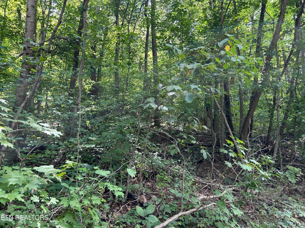 Photo of Pearl Lot 20 Lane, Maynardville, TN 37807 (MLS # 1273626)