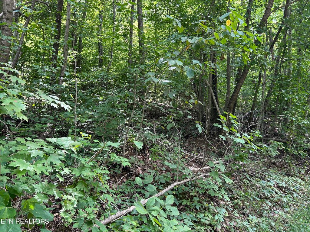 Photo of Pearl Lot 20 Lane, Maynardville, TN 37807 (MLS # 1273626)