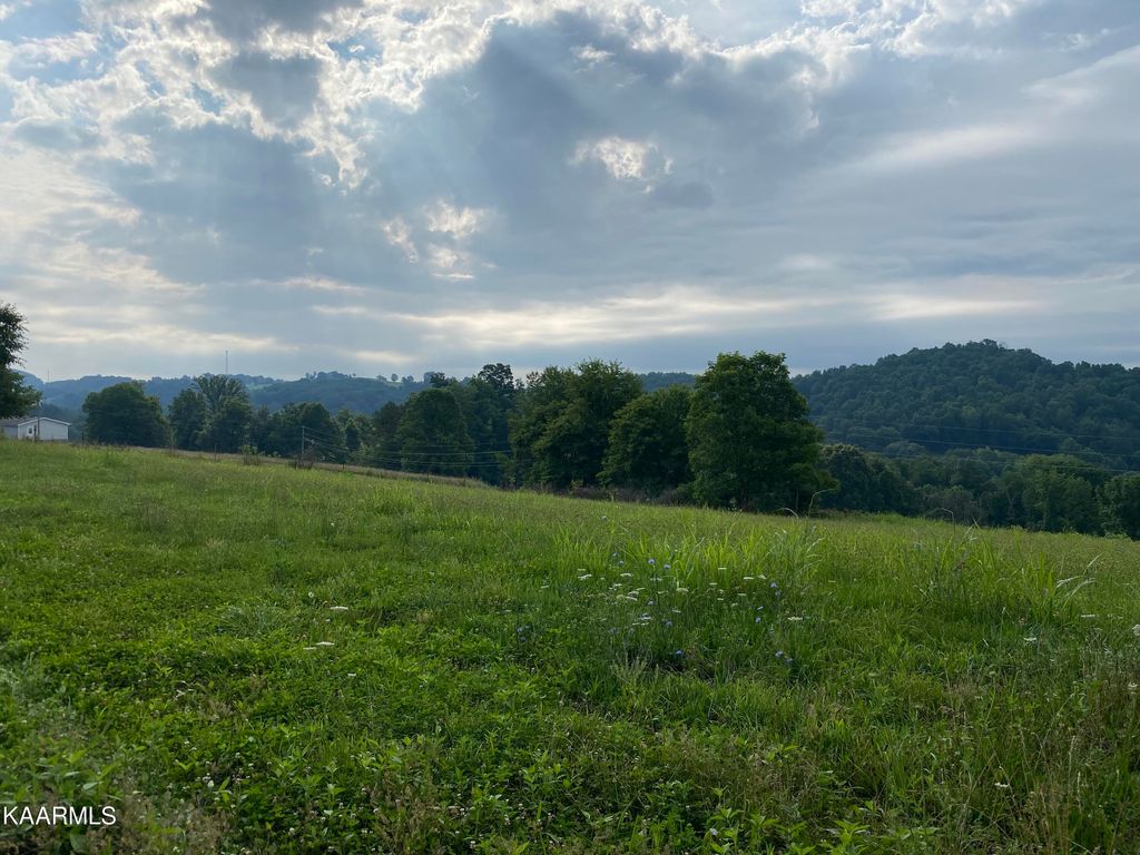 Photo of 380 Widner Road Rd, New Tazewell, TN 37825 (MLS # 1233125)