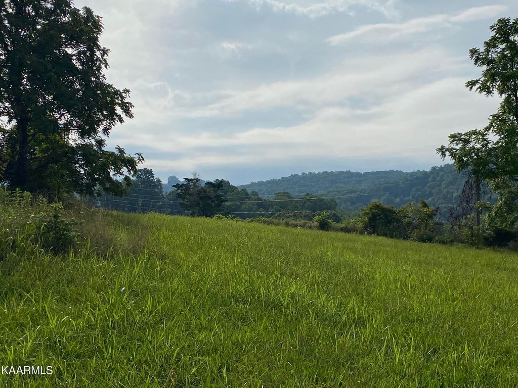 Photo of 380 Widner Road Rd, New Tazewell, TN 37825 (MLS # 1233125)