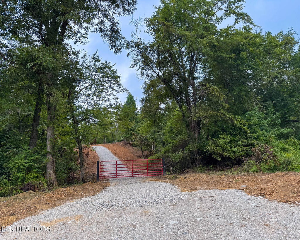 Photo of Sheep Ranch Rd., Robbins, TN 37852 (MLS # 1313249)