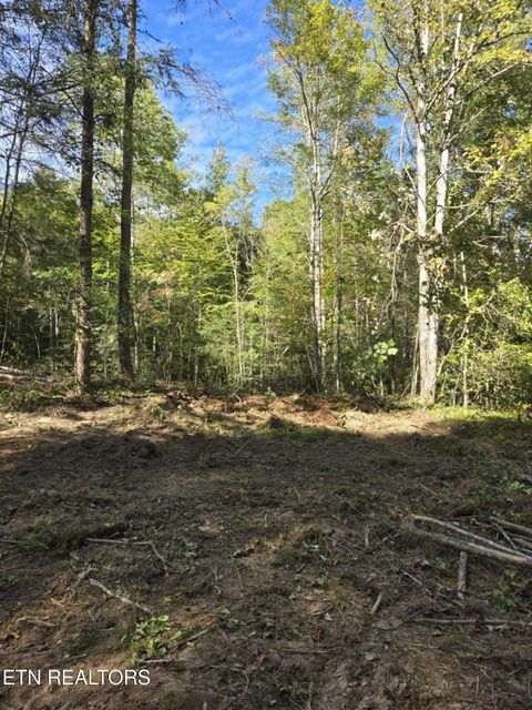 Tiny photo for 176 Fox Lane, Mooresburg, TN 37811 (MLS # 1333280)