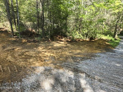 Tiny photo for 176 Fox Lane, Mooresburg, TN 37811 (MLS # 1333280)