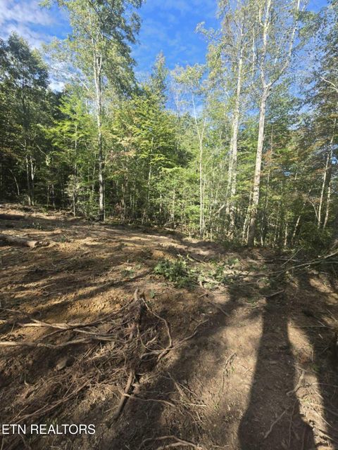 Tiny photo for 176 Fox Lane, Mooresburg, TN 37811 (MLS # 1333280)