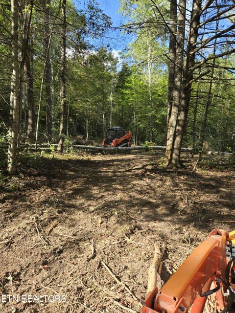 Tiny photo for 176 Fox Lane, Mooresburg, TN 37811 (MLS # 1333280)