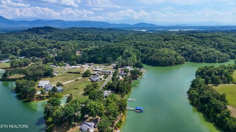 Tiny photo for 1753 Bonanza Tr, Dandridge, TN 37725 (MLS # 1335715)