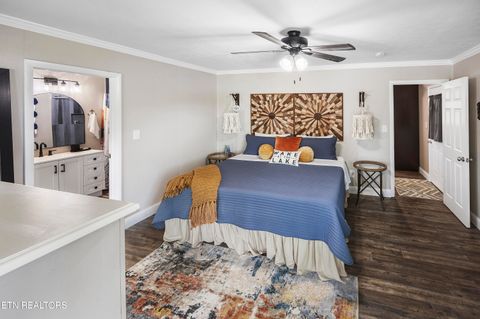 Tiny photo for 1753 Bonanza Tr, Dandridge, TN 37725 (MLS # 1335715)