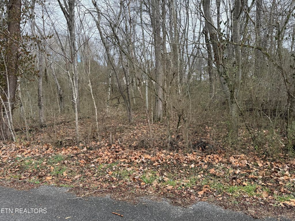 Photo of Jodys Lane #2, Rockwood, TN 37854 (MLS # 1332134)