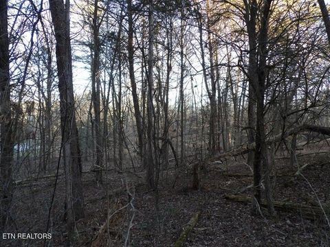 Lot 1060 Mountain View Lane Baneberry TN 37890