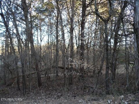Tiny photo for 1060 Mountain View Lane, Baneberry, TN 37890 (MLS # 1330162)