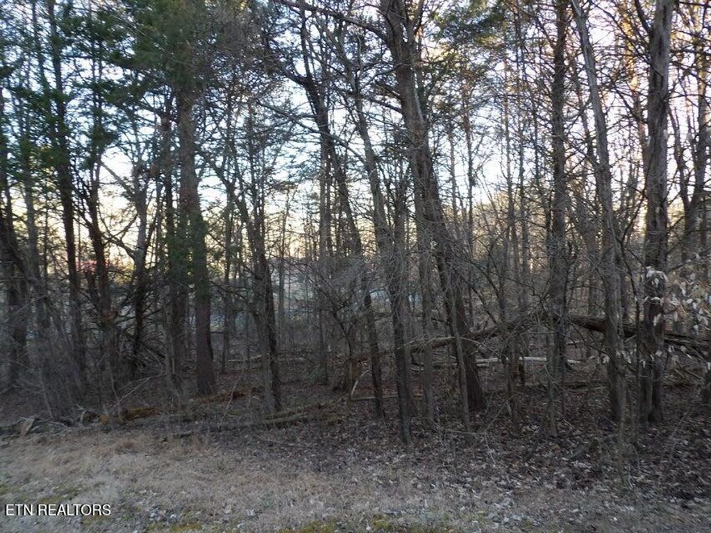 Photo of 1060 Mountain View Lane, Baneberry, TN 37890 (MLS # 1330162)