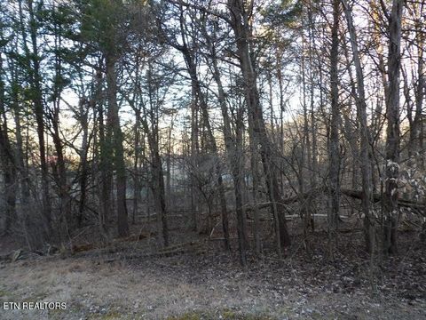 Tiny photo for 1060 Mountain View Lane, Baneberry, TN 37890 (MLS # 1330162)