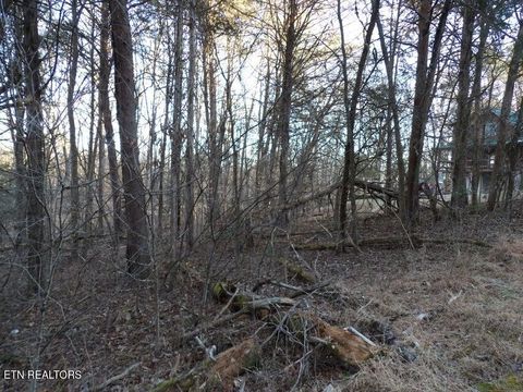 Tiny photo for 1060 Mountain View Lane, Baneberry, TN 37890 (MLS # 1330162)