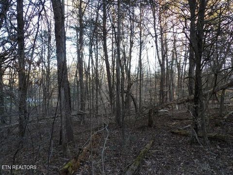 Tiny photo for 1060 Mountain View Lane, Baneberry, TN 37890 (MLS # 1330162)