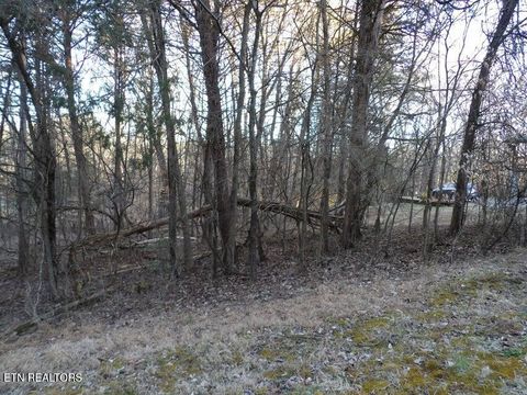 Tiny photo for 1060 Mountain View Lane, Baneberry, TN 37890 (MLS # 1330162)