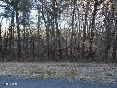 Tiny photo for 1060 Mountain View Lane, Baneberry, TN 37890 (MLS # 1330162)