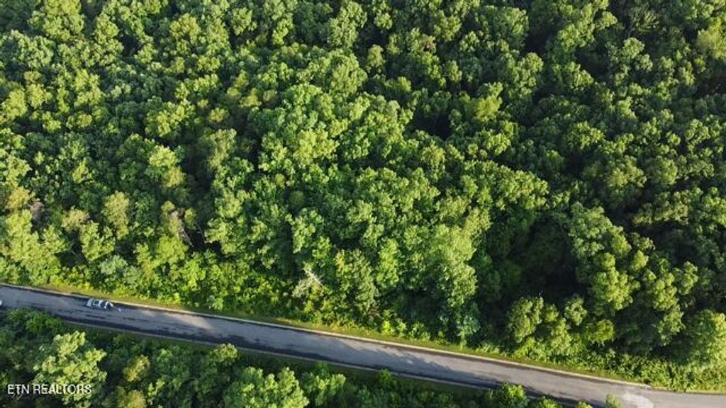 Photo of 5 Woodland Creek Drive, Dandridge, TN 37725 (MLS # 1306719)