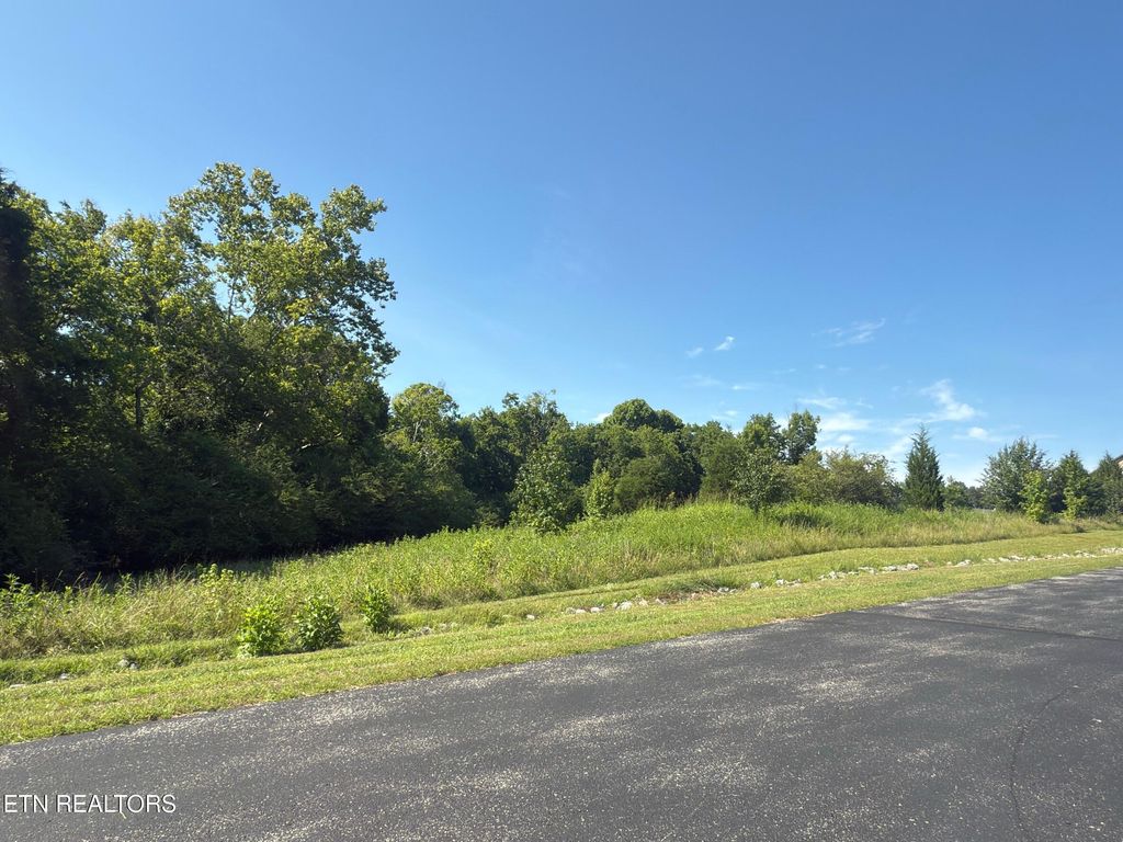 Photo of 118 Roaming Fawn Drive, Rockwood, TN 37854 (MLS # 1314761)