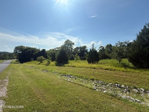 Photo of 118 Roaming Fawn Drive, Rockwood, TN 37854 (MLS # 1314761)