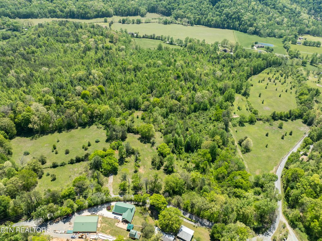 Photo of 540 E Millers Cove Rd, Walland, TN 37886 (MLS # 1339369)