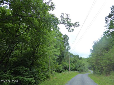 Photo of 550551 Spring Lane, Baneberry, TN 37890 (MLS # 1330514)